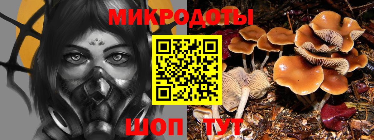 Елец  Псилоцибиновые грибы прущие грибы  Вход с VPN 